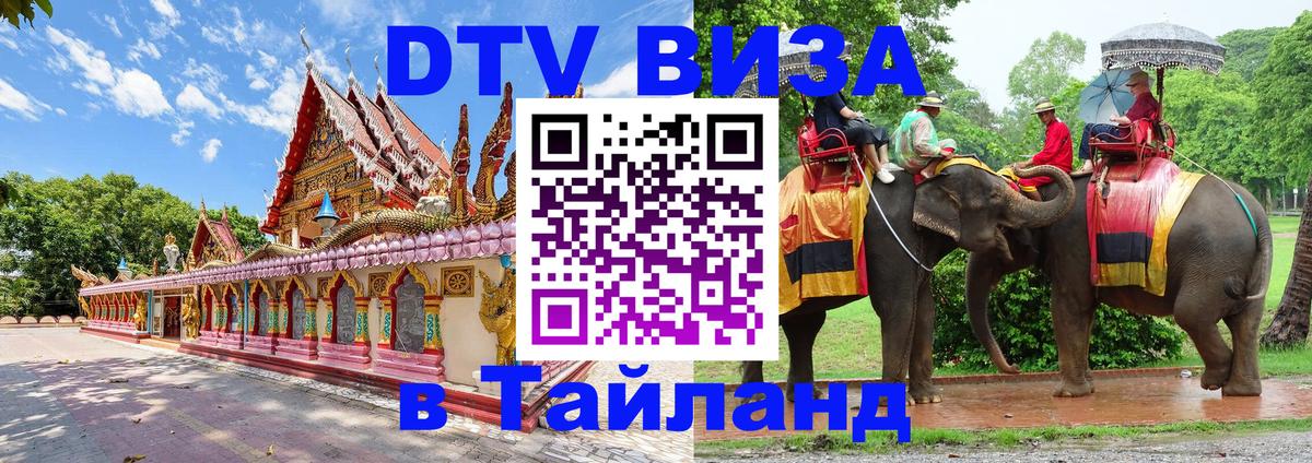 Виза ДТВ на 5 лет в Тайланд Бердск 